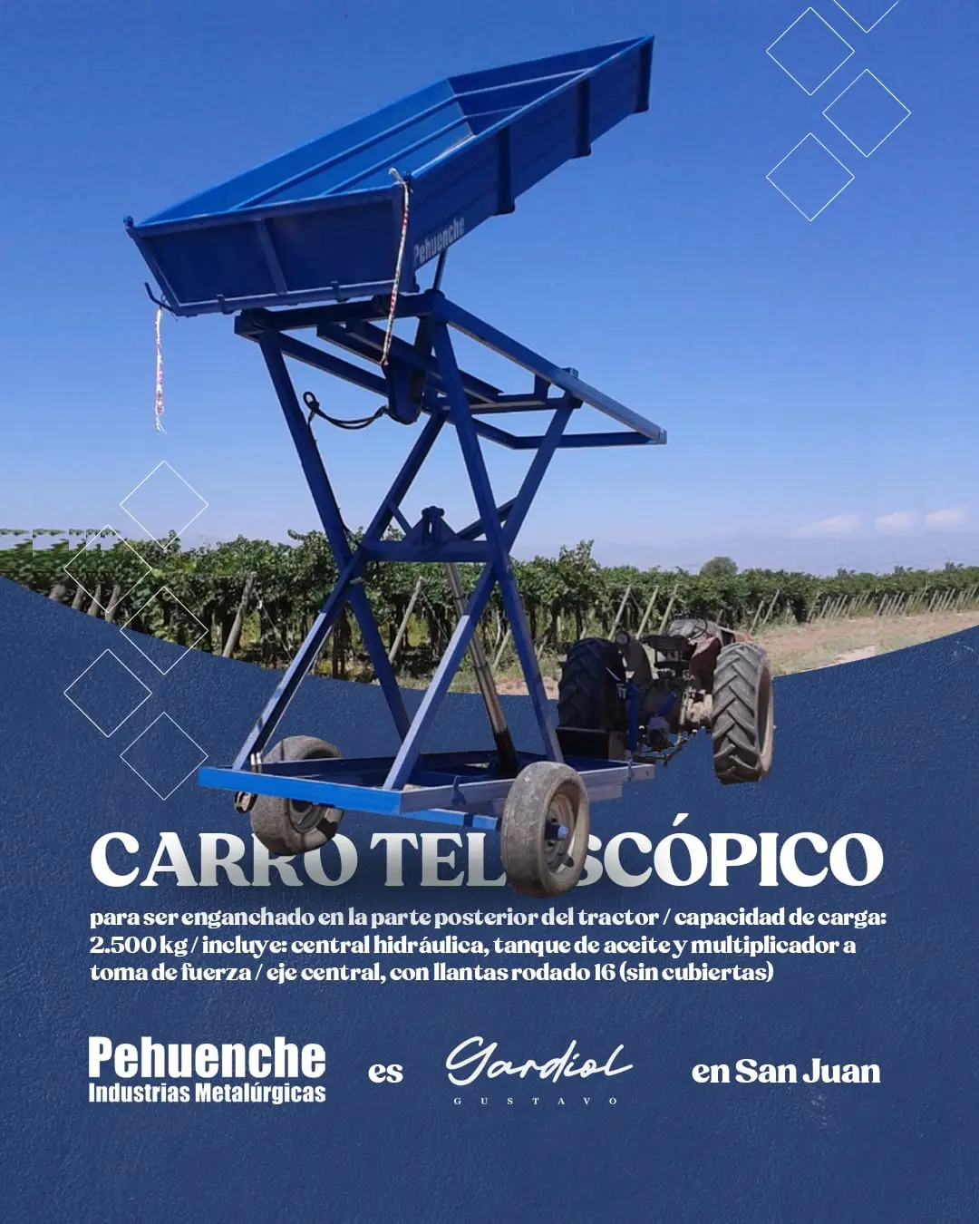 peguenche srl gardiol